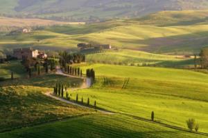 世界杯上的第一粒进球，开启足球运动的传奇时刻世界杯首粒进球