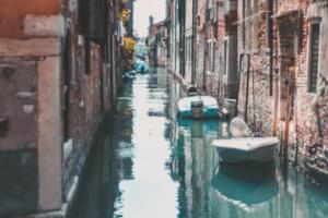 陈梦世界杯直播，精彩瞬间与赛事亮点陈梦世界杯直播